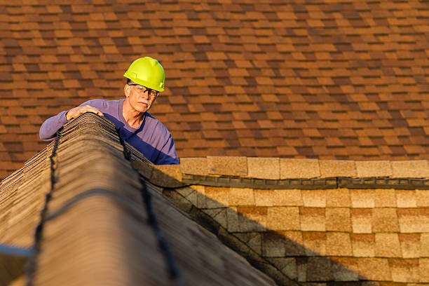 Best Metal Roofing Contractor  in Monona, WI