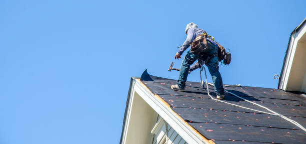 Best Flat Roof Repair Services  in Monona, WI